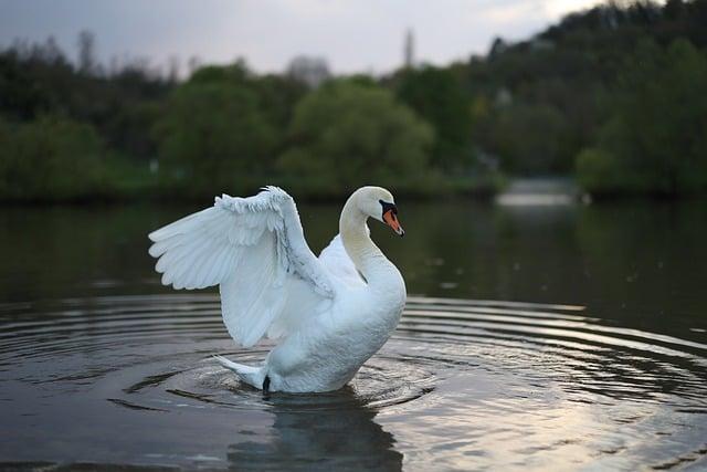 6. Fotografie a videa jako trvalá vzpomínka na tento výjimečný okamžik