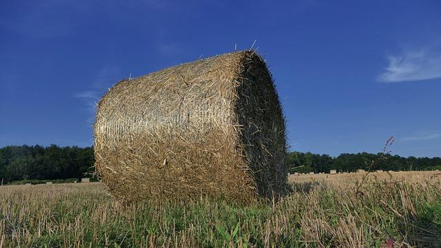 Nejlepší způsob, jak se postavit lžím ve vztahu