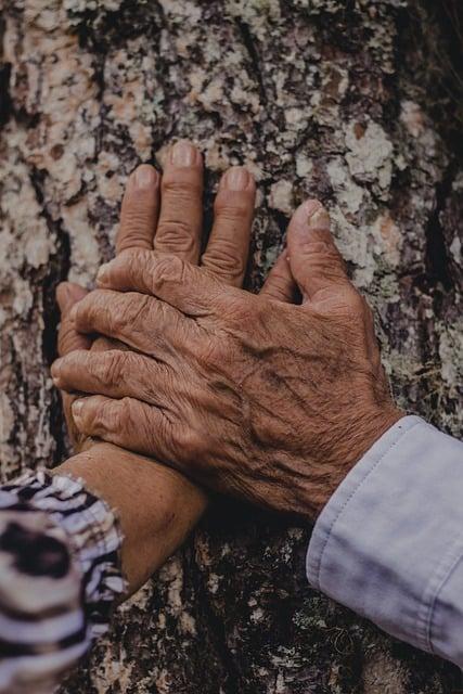 Romantické květinové zahrady na večeři pod hvězdami