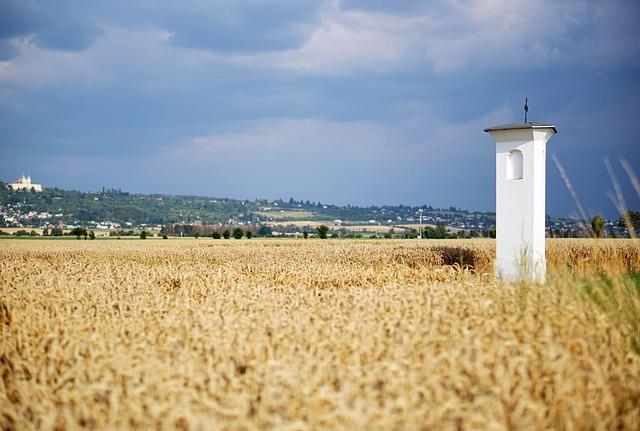 Kde uspořádat svatbu Moravskoslezský kraj: Místa s jedinečnou atmosférou!