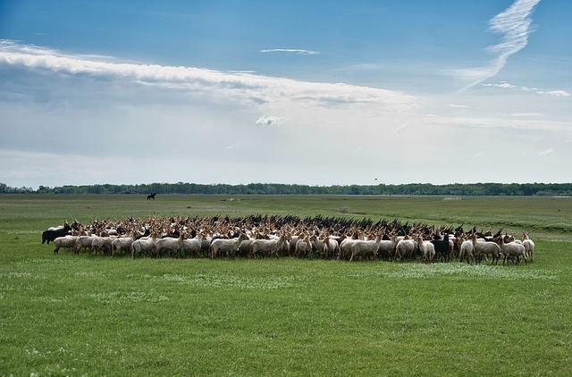 Zátah na svatbě: Co zavěsit na šňůru?