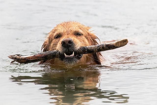 Jak se‌ načíst před odesláním rozchodového dopisu oběma stranám