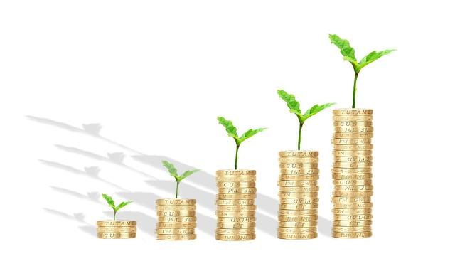 Rozpočet a financování svatební recepce