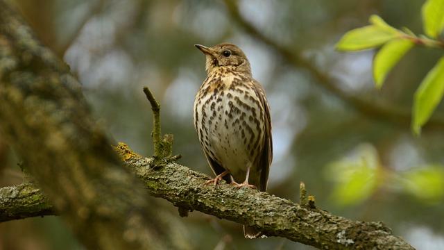 Předložení společného majetku a finančních dokumentů